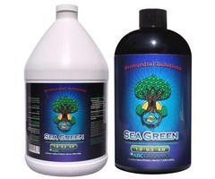 Primordial Solutions Primordial Solutions Sea Green Gallon