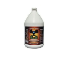 Primordial Solutions Rootamentary Gallon