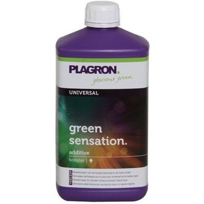 Home Hydro Plagron Green Sensation 1L