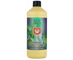 House & Garden House and Garden Magic Green 250 ml (16/Cs)