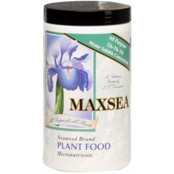 Maxsea Maxsea All Purpose Plant Food 1.5 lb (16-16-16) (12/Cs)