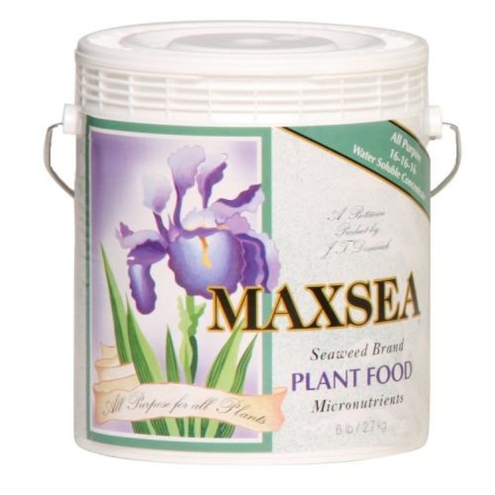 Maxsea Maxsea All Purpose Plant Food 6 lb (16-16-16) (4/Cs)