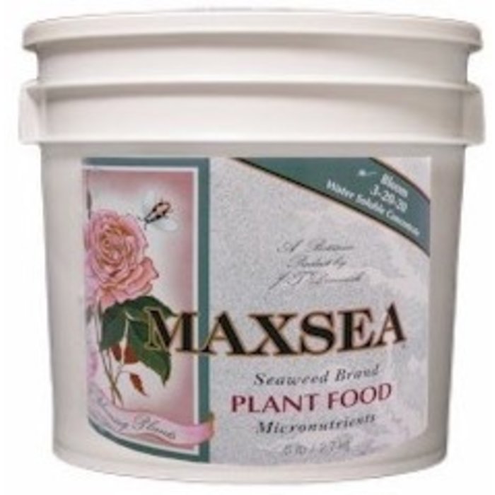 Maxsea Maxsea Bloom Plant Food 20 lb (3-20-20)