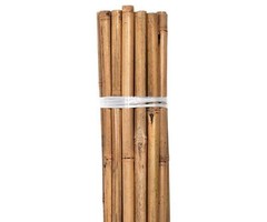 Growers Edge Grower's Edge Natural Bamboo 4 ft Bulk (100/Pack)