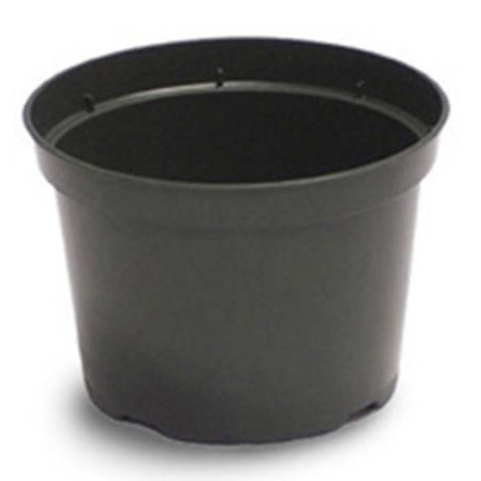 BWI Blow Molded Custom #2 Container - 1.94 gal