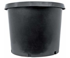 BWI Blow Molded Olympian #15 Container - 13.351 gal