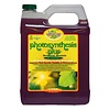 Microbe Life Microbe Life Photosynthesis Plus 2.5 Gallon (2/Cs)