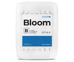 Athena - Bloom B 5 Gallon
