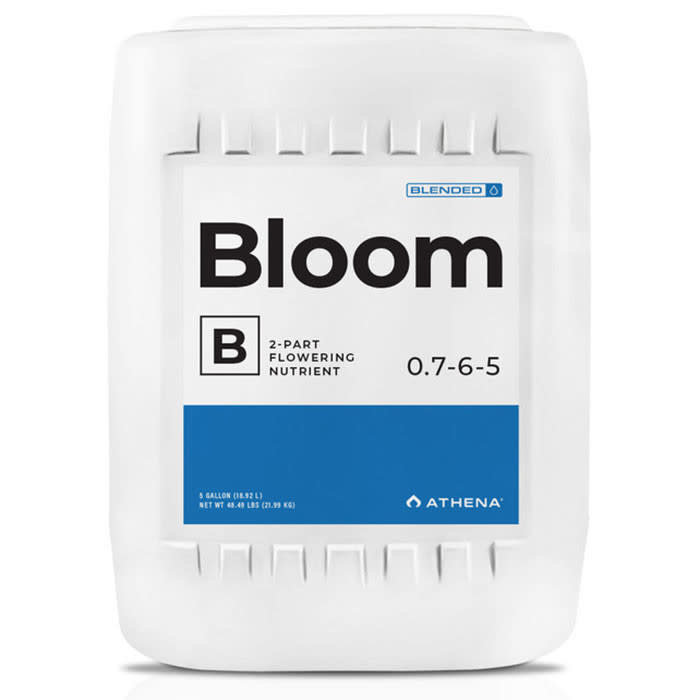 Athena - Bloom B 5 Gallon