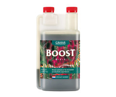 Canna - Boost 1 L