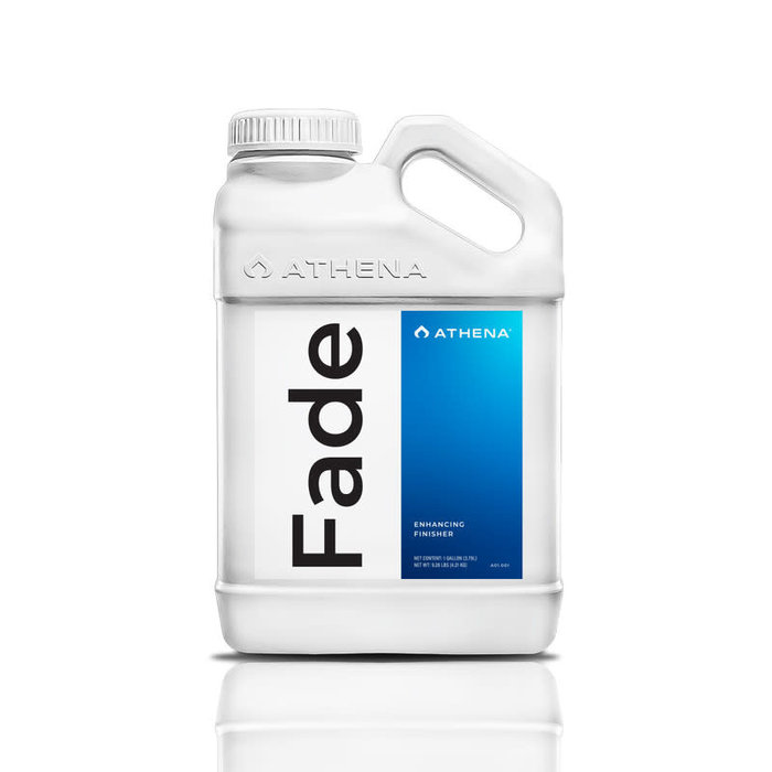Athena - Fade Gallon
