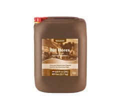 Canna - Bio Flores 20 Liter