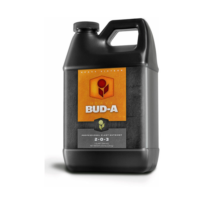 Heavy 16 - Bud A, 32 oz
