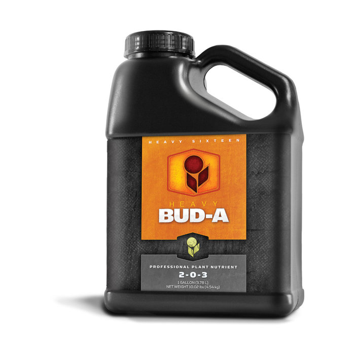 Heavy 16 - Bud A, 1 gal