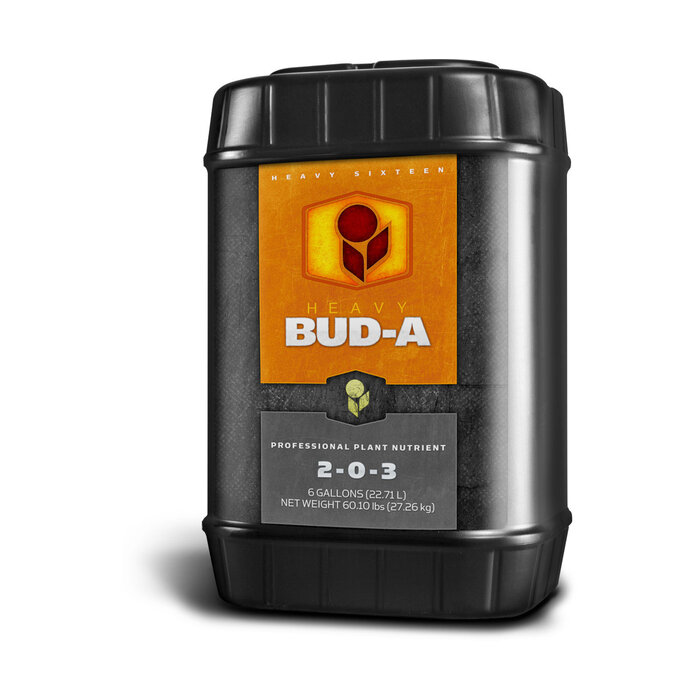 Heavy 16 - Bud A, 6 gal