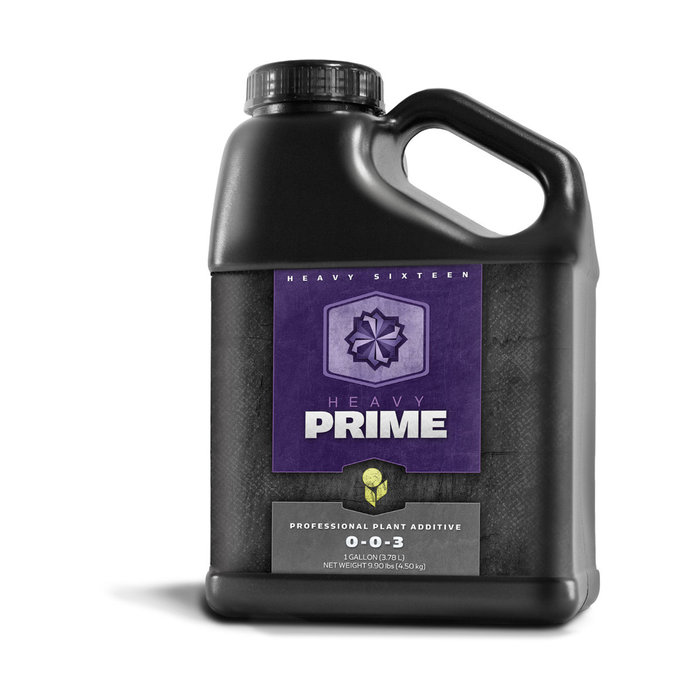 Heavy 16 - Prime, 1 gal