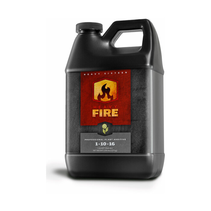 Heavy 16 - Fire, 32 oz