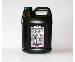 Nectar For The Gods - Persephone's Palate, 2.5 gal