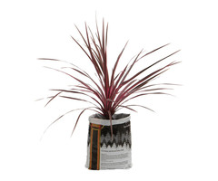 Royal Gold - Kings Mix, .75 cu ft (5 gallon plant in bag)