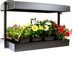 SunBlaster - T5 Grow Light Garden, Black