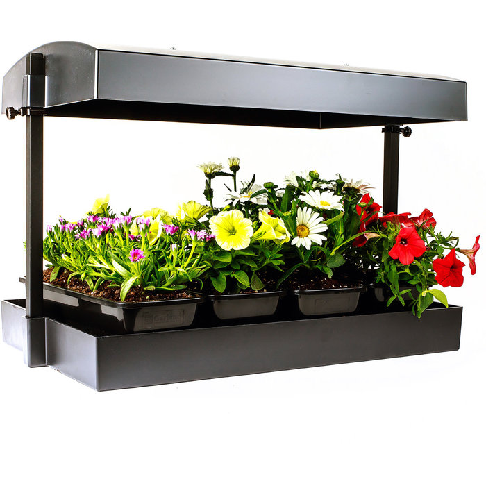 SunBlaster - T5 Grow Light Garden, Black