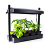 SunBlaster - Micro LED Grow Light Garden, Black