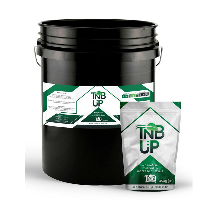 TNB Naturals - pH UP, 1 lb