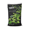 Roots Organics - Micro-Greens, 1.5 cf