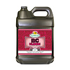 TechnaFlora - B.C. Bloom, 10 L