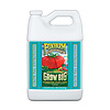 FoxFarm - Grow Big Hydro Liquid Concentrate, 1 gal