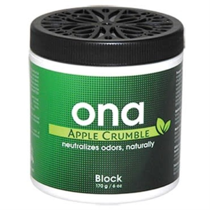 Ona Products - Apple Crumble Mist Can 6 oz
