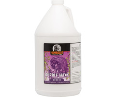 Humboldt County's Own / Emerald Triangle Humboldt County's Own / Emerald Triangle  - Purple Maxx, 1 gal