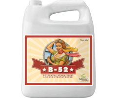 Advanced Nutrients - B-52 4L