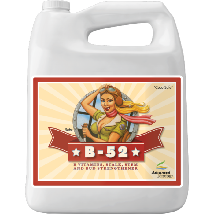 Advanced Nutrients - B-52 4L