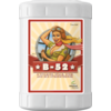 Advanced Nutrients - B-52 23L