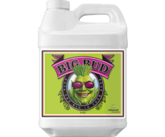 Advanced Nutrients - Big Bud 10L