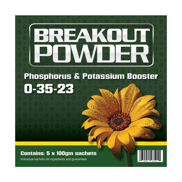 Aptus - Breakout Powder, (5-Pack)