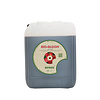 Biobizz - Bio-Bloom, 10 L