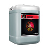 Cutting Edge Solutions - Bloom, 2.5 gal
