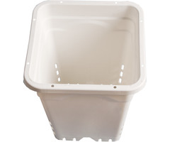 Active Aqua - 9" x 9" Square White Pot, 10" Tall,