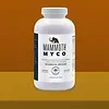 Mammoth Myco 16 oz