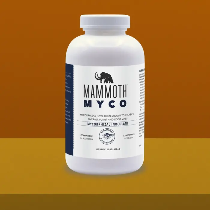 Mammoth Myco 16 oz
