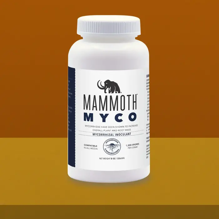 Mammoth Myco 8 oz