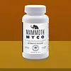 Mammoth Mammoth - Myco 4 oz