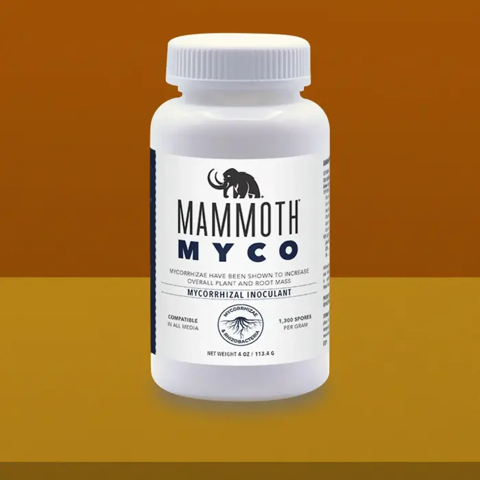 Mammoth Mammoth - Myco 4 oz