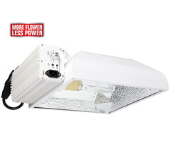 Sun System LEC Sun System 315 Watt LEC Boss Com 277 Volt w/ 4200 K Lamp