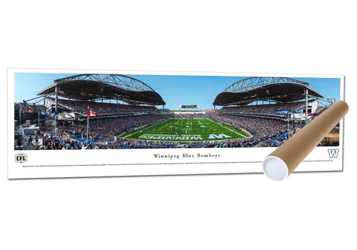 Frameworth Panorama Banjo Bowl Print 2017