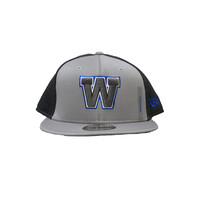 NE SL 2023 9Fifty Grey Cap