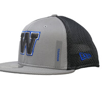 NE SL 2023 9Fifty Grey Cap