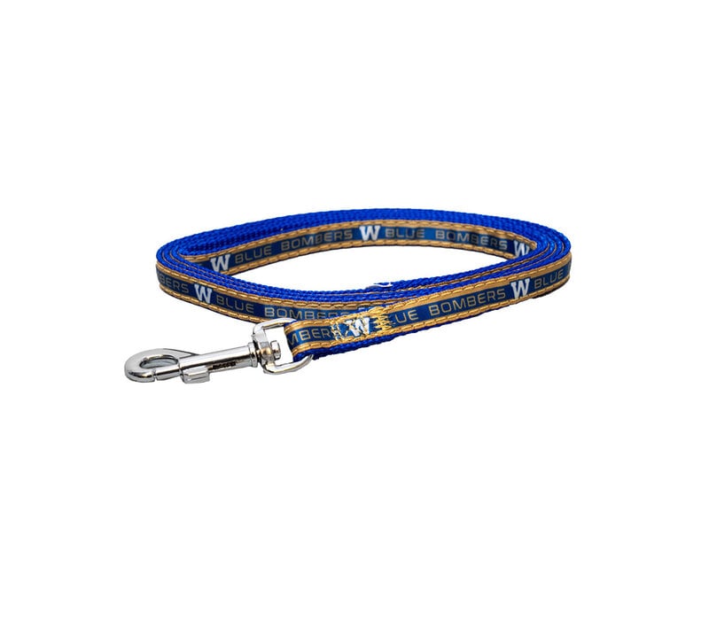 Satin Dog Leash